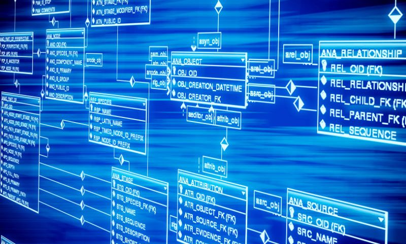 Состав информационной базы данных