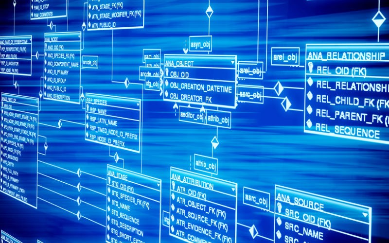 Состав информационной базы данных